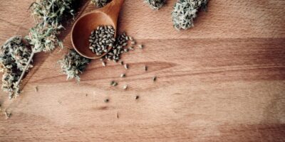 Automatische Blütephasen: Wie Genetik den Cannabisanbau revolutioniert